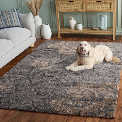 Chaffin Shag Performance Floral Rug