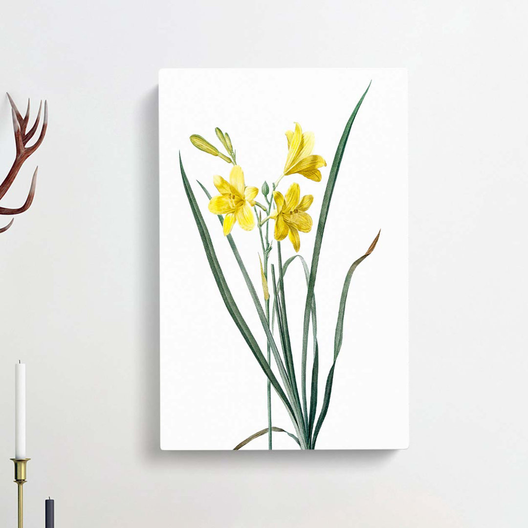 Yellow Daylily by Pierre-Joseph Redoute - Wrapped Canvas