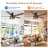 52" 5 - Reversible Blade Ceiling Fan With Lights, Quiet Dc Motor And Remote Control
