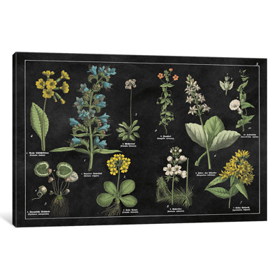 " Botanical Floral Chart I " by Wild Apple Portfolio