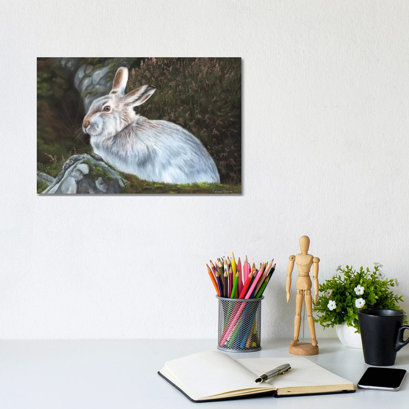 Hare by Richard Macwee - Gallery-Wrapped Canvas Giclée on Canvas, Canvas, 20.32 cm H x 30.48 cm W