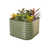 Vert olive sélectionné