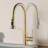 Topcraft Pull Down Single Handle Kitchen Faucet With Baseplate，Brushed Gold-102192996