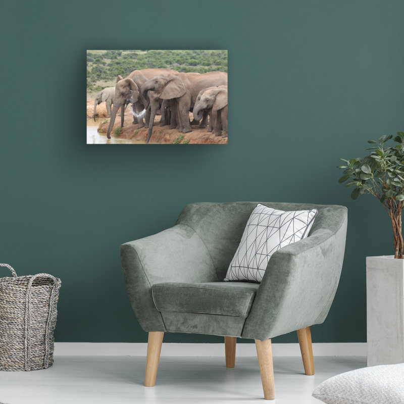 Art sur toile éléphant, Bob Bob Langrish, H 12 po x l 19 po