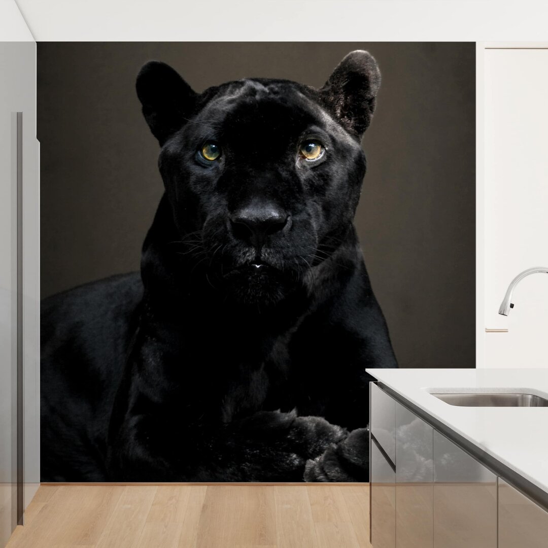 Strukturierte Fototapete Black Puma 3,36 m x 336 cm