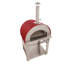 Outdoor Wood-Fired Pizza Oven-73359417