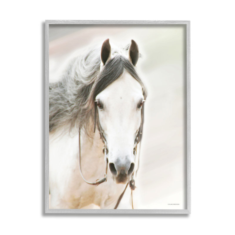 Cheval blanc par Kari Brooks, H 20 po x l 16 po x P 1,5 po, Estampe numérique Farmhouse