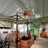 Royal Palm 52" Tropical Ceiling Fan-288350921