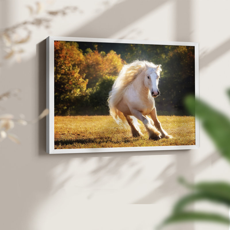 Horse Motion IV -Framed Print - Restickable, H 11 po x l 14 po, Blanc