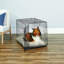 Cage pour chien New World-1760836757
