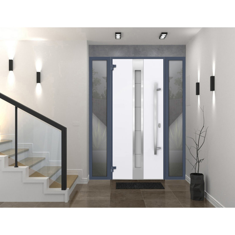 Porte avant en acier pré-suspendue à l'avant / deux graphites gris 1717 / inserts en acier inoxydable simples peints de style moderne - l 60 po x H 80 po - droitier