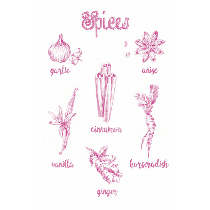 Spice Varieties by Ethan Harper - Drawing, 30 cm H x 20 cm W, Wrapped Canvas