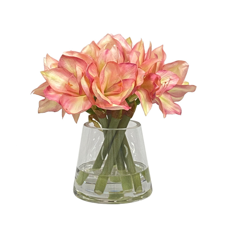 AMARYLLIS IN VASE, Pink