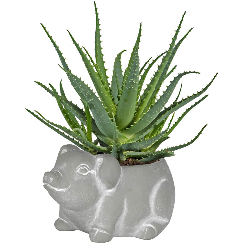 Baebel Statue Planter, Gray, 4" H x 5" W x 8" D