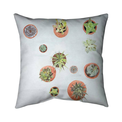 Cactus plants - 18"x18" Throw pillow cover - Poly twill - Print on demand