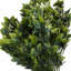 75 cm H Faux Plant-127681120