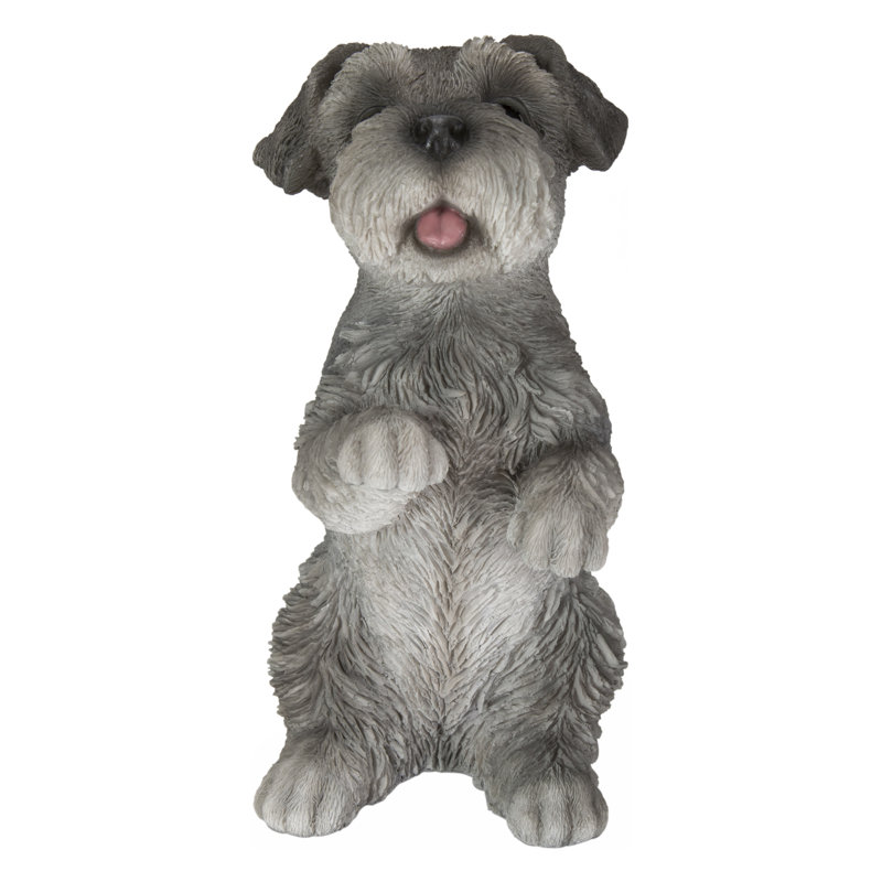 Schnauzer miniature assis