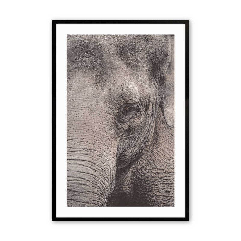 «Wise Gaze Print», dans un cadre,, H 25 po x l 19 po x P 1,25 po, Cadre noir satiné