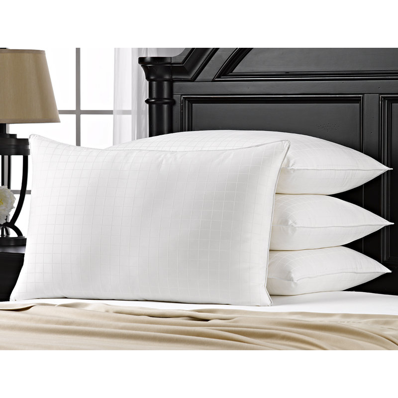 Exquisite Hotel Cotton Windowpane Pillow, Firm Density, Standard