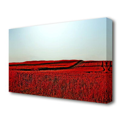 Red Meadow Landscape - Wrapped Canvas Print