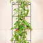 147cm H x 20cm W Metal Expanding