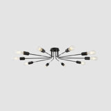 Novelty Ceiling Light