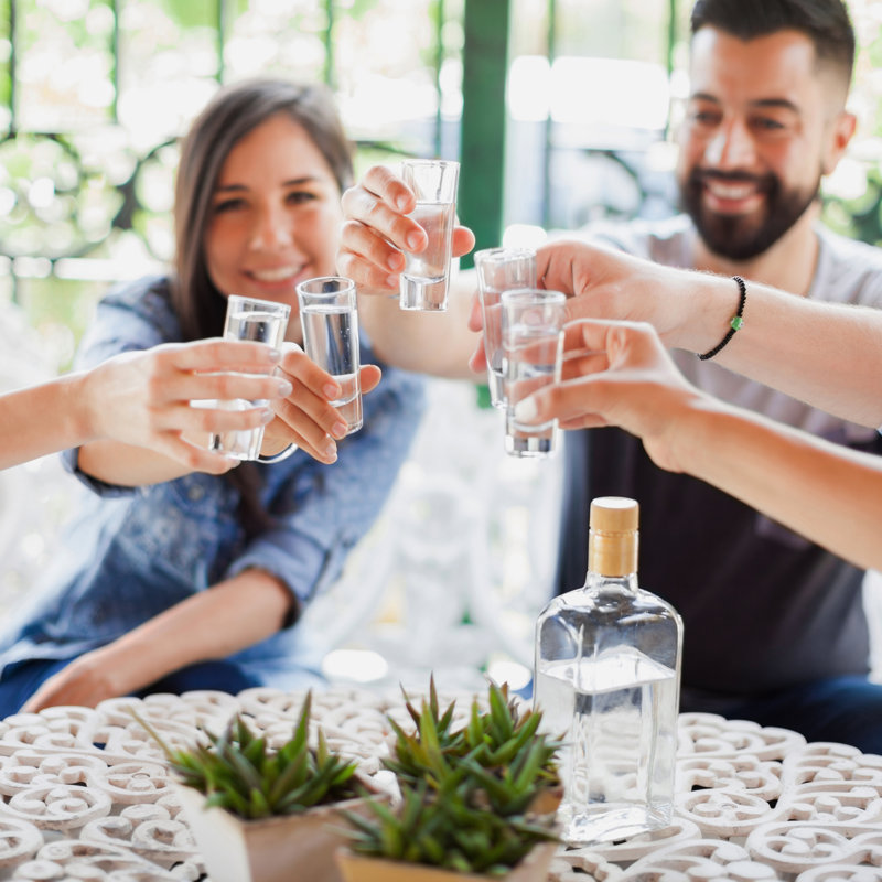 Ensemble de verres à liqueur 6 pièces 2 oz Oggi Barware