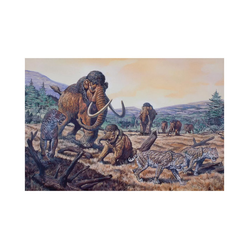 A Herd of Woolly Mammoth and Scimitar Sabertooth, Pleistocene Epoch par Mark Hallett - peinture sur toile tendue