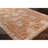 Conlan Oriental Indoor Rug-1039965633