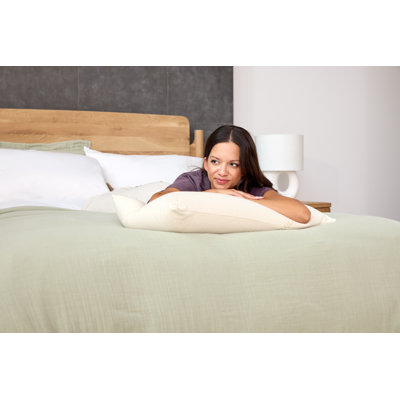 Organic Solid Latex Pillow