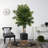 70'' Faux Palm Tree in Ceramic Planter