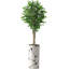 Hautes plantes artificielles artificielles d'intérieur et d'extérieur-116649437-116649445