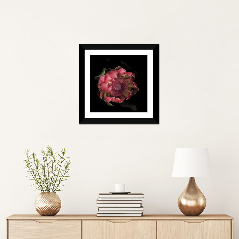 «The Glory of the Protea», reproduction de photo sur toile tendue, H 16 po x l 16 po x P 1 po, Papier d'art encadré noir
