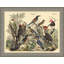 Vogels Aviary 1 Print