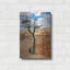 «Utah Bryce Canyon Tree» par AKG-139804017