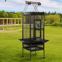 Chylie 75 Iron Play Top Floor Bird Cage with Perch