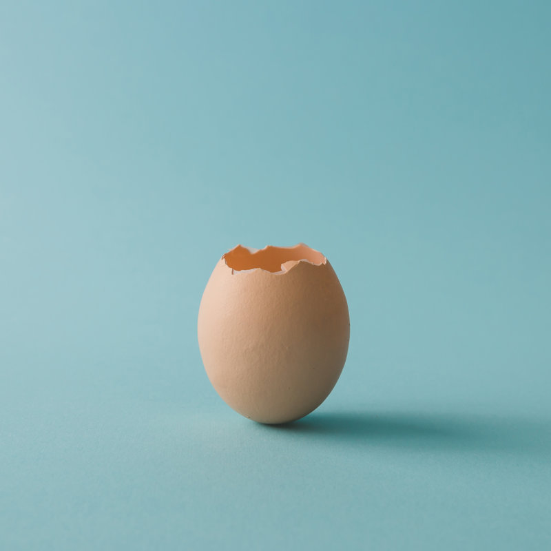 Egg Shell On Bright Blue Background. Minimal Concept. - Wrapped Canvas Print, 122cm H x 122cm W x 3.8cm D