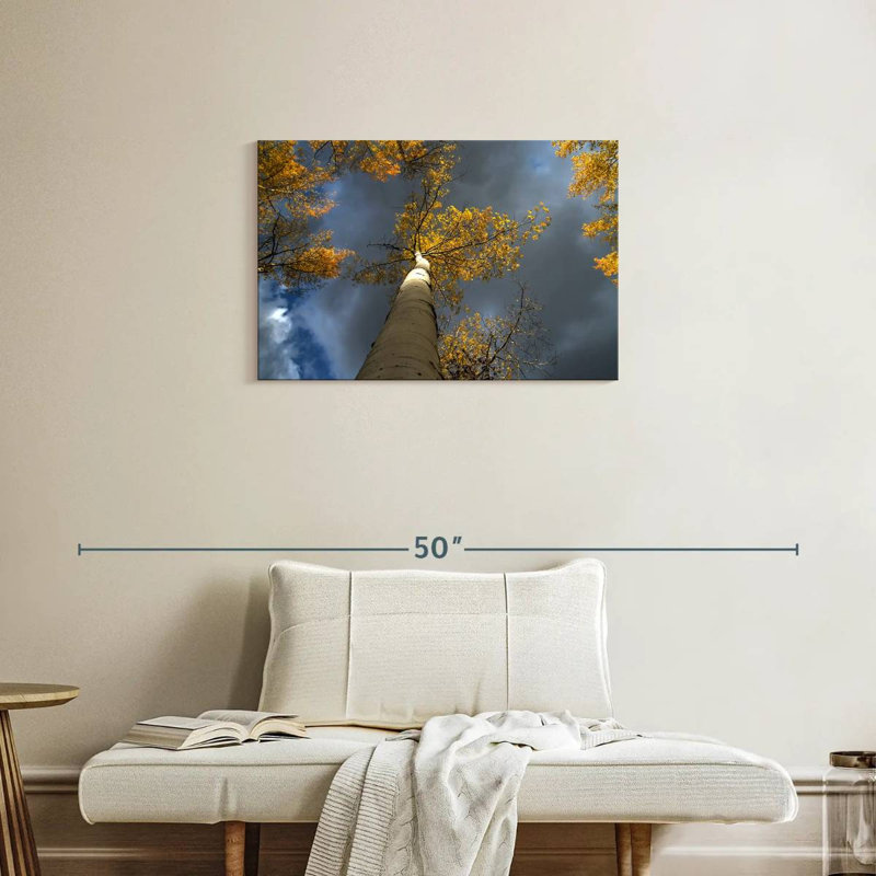 Pavillon Harnek Aspen, H 20 po x l 30 po