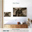 Vintage Propeller-1601383019