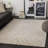 Edsel Oriental Light Gray/Beige Area Rug-507732618