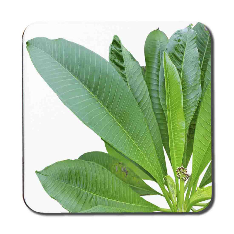 Aarabhi Square 6 Piece Coaster Set