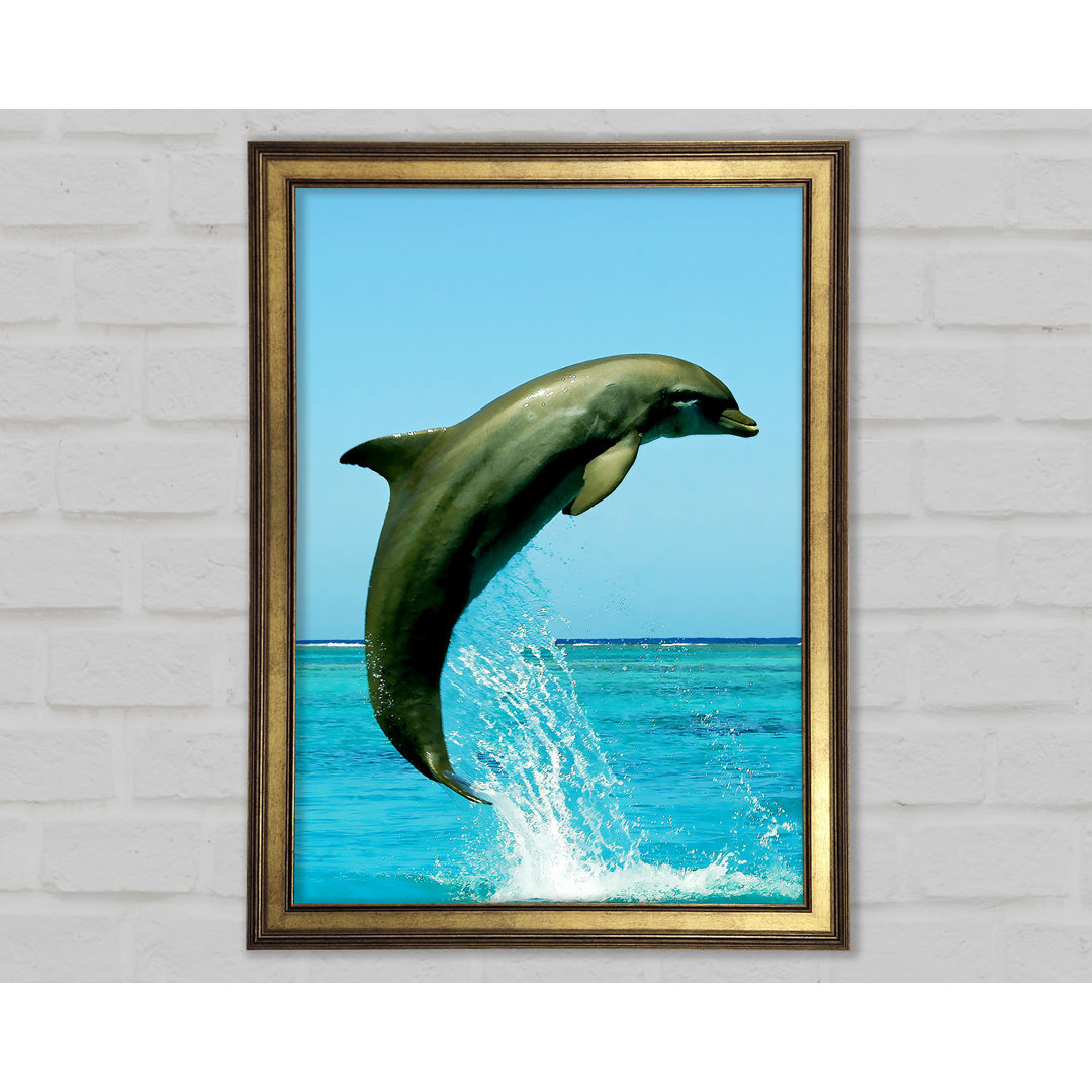 Gerahmtes Bild Dolphin Jump