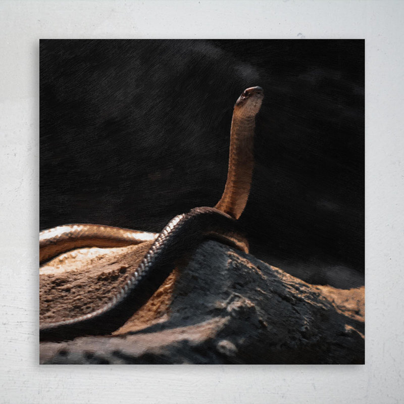 Serpent noir - peinture sur toile tendue, H 32 po x l 32 po
