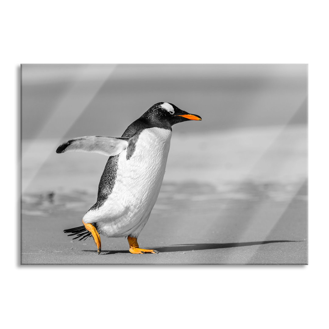 Glasbild Pinguin am Strand