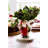 Old St. Nick Earthenware Table Vase 1