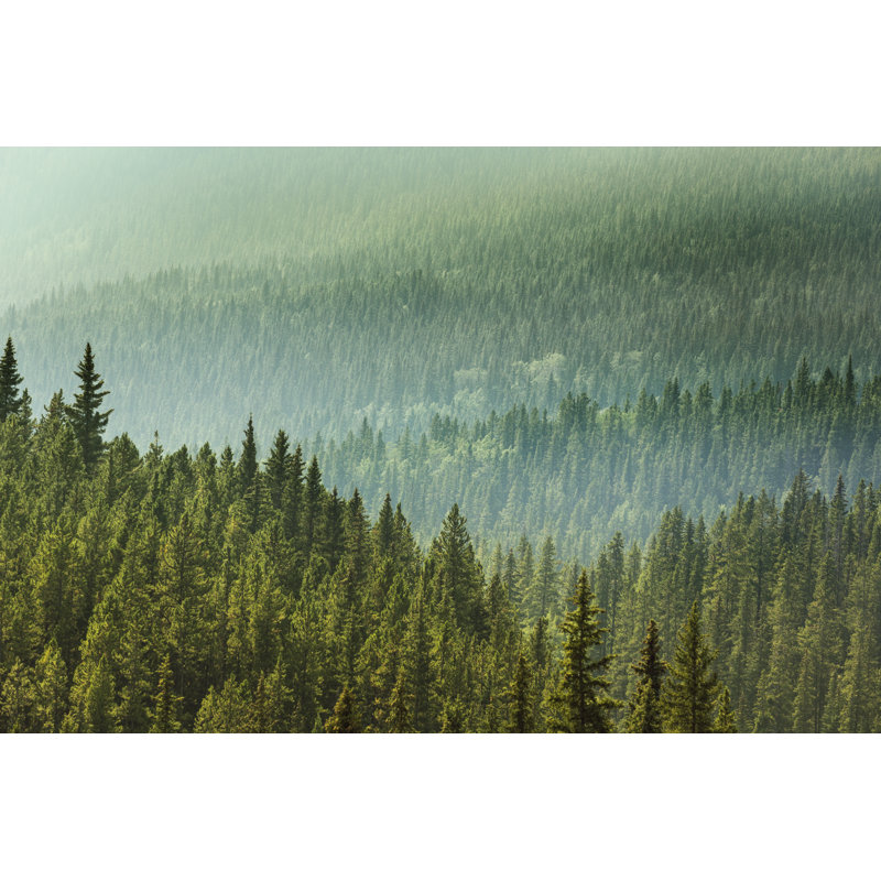 Alberta Wilderness by Pgiam - Wrapped Canvas Print, 61cm H x 91cm W x 3.8cm D