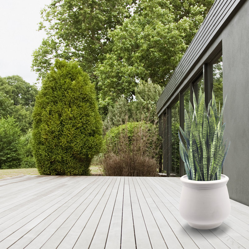 Ceramic Pot Planter