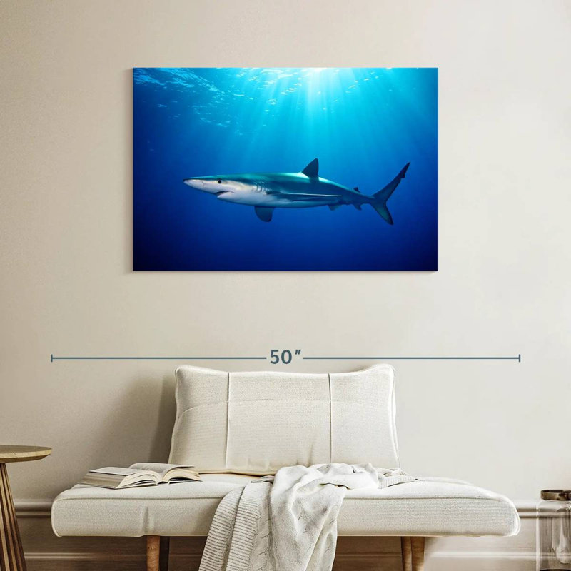 Brampt Blue Shark In Gordon's Bay, 26" H x 39" W