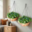 60 cm H Faux Plant