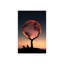 Lapin et pleine lune par Abdullah Evindar - reproduction de photo-950444984-950444929-950444928